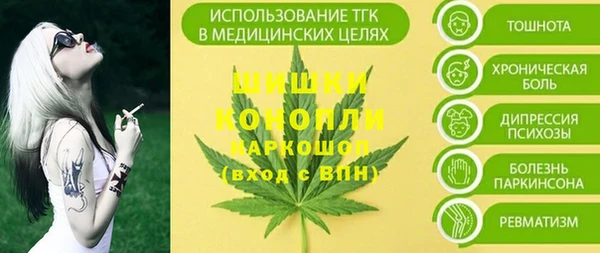 2c-b Богородск