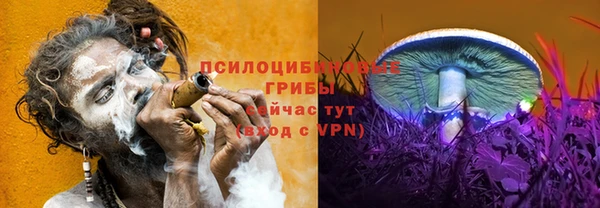 не бодяженный Богданович